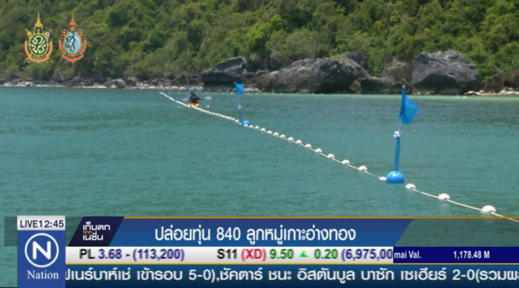 ปล่อยทุ่น 840 ลูกหมู่เกาะอ่างทอง ปล่อยทุ่น 840 ลูกหมู่เกาะอ่างทอง