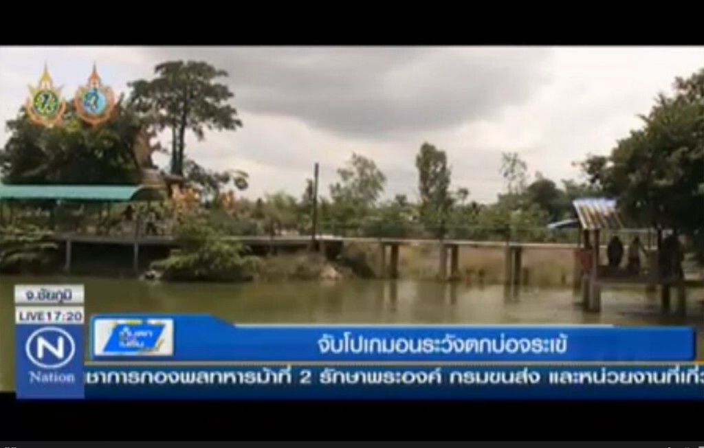 จับโปเกม่อนระวังตกบ่อจระเข้