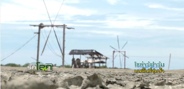 โซล่าร์ฟาร์ม บนพื้นที่ชุ่มน้ำ ???