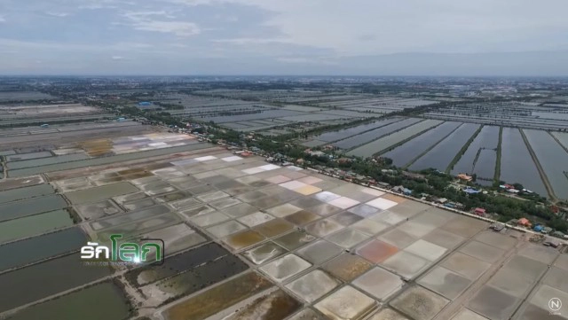 โซล่าร์ฟาร์ม บนพื้นที่ชุ่มน้ำ ???