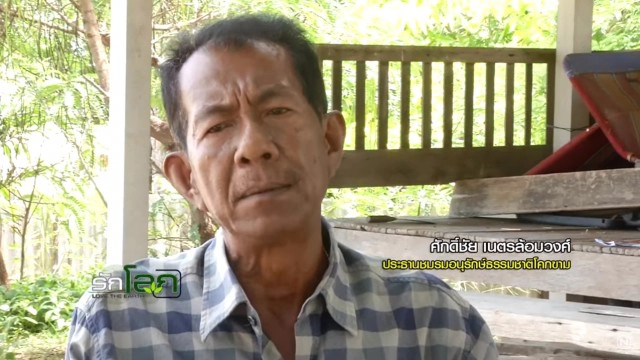 โซล่าร์ฟาร์ม บนพื้นที่ชุ่มน้ำ ???