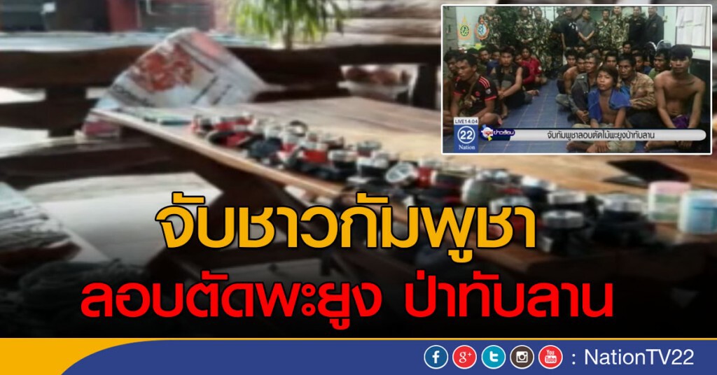 จับกัมพูชาลอบตัดพะยูง ป่าทับลาน จับกัมพูชาลอบตัดพะยูง ป่าทับลาน