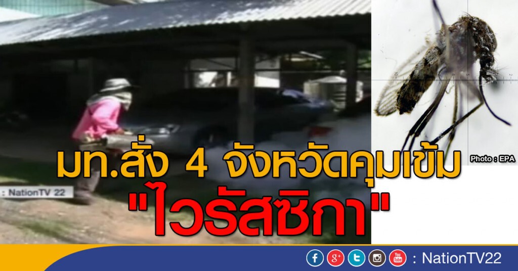 มท.สั่ง 4 จังหวัดคุมเข้ม "ไวรัสซิกา"