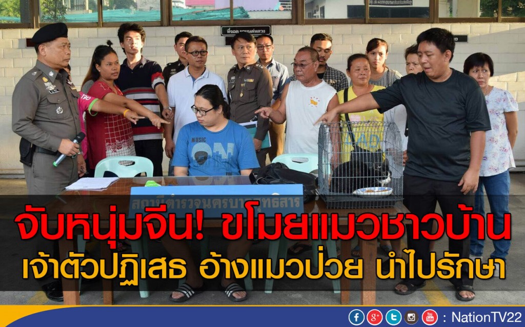จับหนุ่มจีน! ขโมยแมวชาวบ้าน
เจ้าตัวปฏิเสธ อ้างแมวป่วย นำไปรักษา