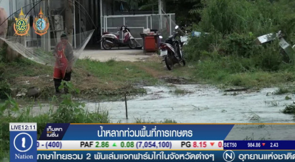 น้ำหลากท่วมพื้นที่การเกษตร น้ำหลากท่วมพื้นที่การเกษตร