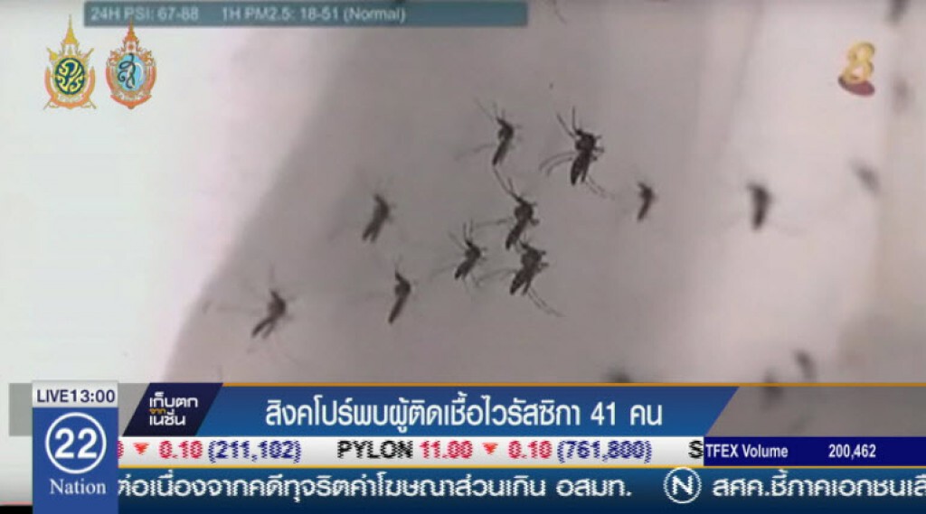 สิงคโปร์พบผู้ติดเชื้อไวรัสซิกา 41 คน สิงคโปร์พบผู้ติดเชื้อไวรัสซิกา 41 คน