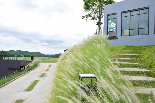 อร่อยปักหมุด : The Paz ร้านอาหารบรรยากาศสุดสวย ถนนหนองสาหร่าย-วังน้ำเขียว นครราชสีมา