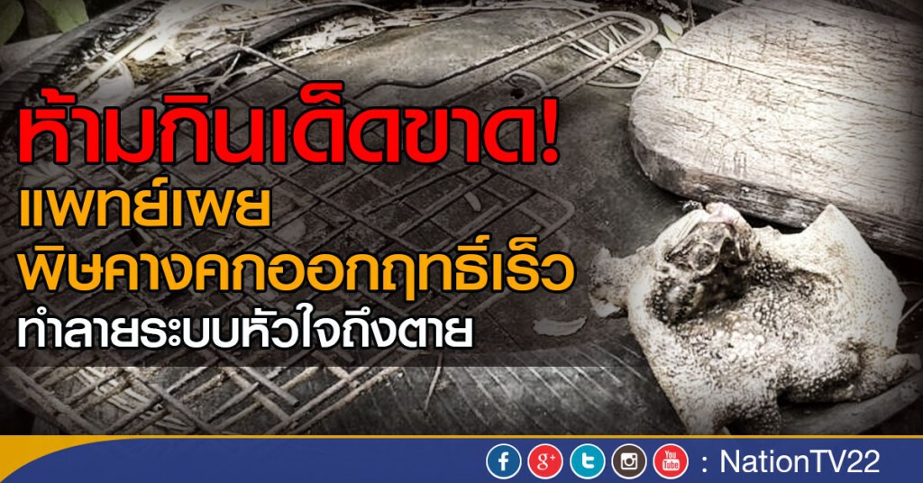 แพทย์เผย พิษคางคกออกฤทธิ์เร็ว
ทำลายระบบหัวใจถึงตาย ห้ามกินเด็ดขาด