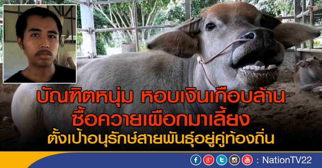 บัณฑิตมข.เอาเงินเกือบล้านซื้อควายเผือกมาเลี้ยง บัณฑิตมข.เอาเงินเกือบล้านซื้อควายเผือกมาเลี้ยง