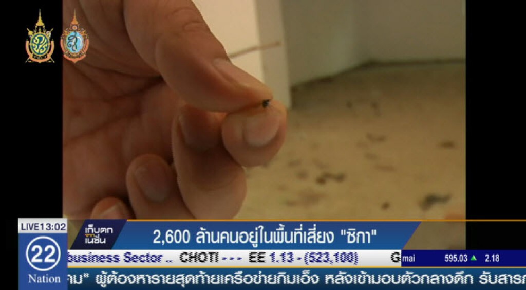 คาด 2,600 ล้านคนอยู่ในพื้นที่เสี่ยง"ซิกา" คาด 2,600 ล้านคนอยู่ในพื้นที่เสี่ยง"ซิกา"