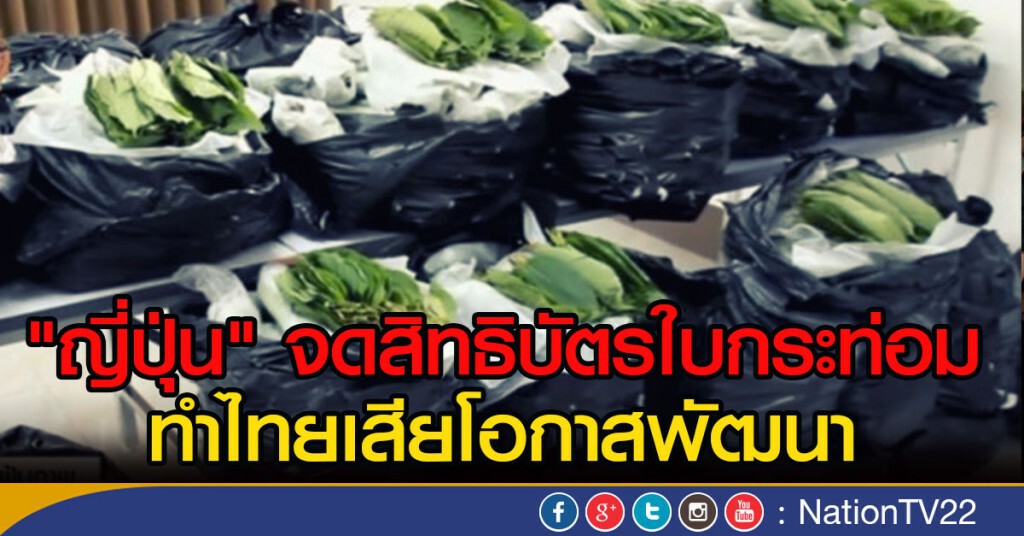 ชี้ญี่ปุ่นจดสิทธิบัตรใบกระท่อม ทำไทยเสียโอกาสพัฒนา ชี้ญี่ปุ่นจดสิทธิบัตรใบกระท่อม ทำไทยเสียโอกาสพัฒนา