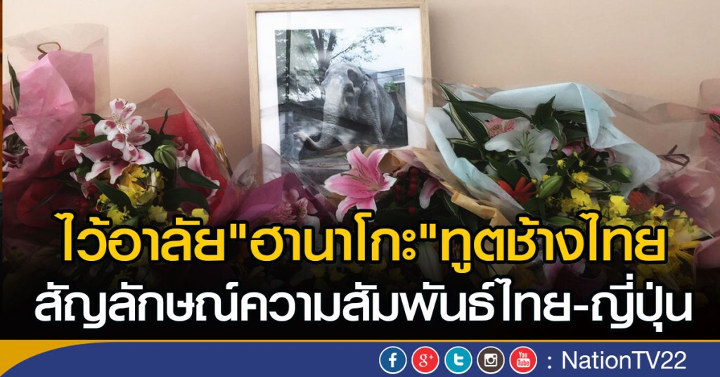 ไว้อาลัย "ฮานาโกะ" ทูตช้างไทย
สัญลักษณ์ความสัมพันธ์ไทย-ญี่ปุน ไว้อาลัย "ฮานาโกะ" ทูตช้างไทย
สัญลักษณ์ความสัมพันธ์ไทย-ญี่ปุน