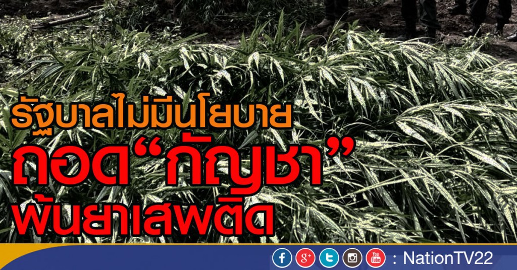 รัฐบาลไม่มีนโยบาย
ถอด "กัญชา"พ้นยาเสพติด รัฐบาลไม่มีนโยบาย
ถอด "กัญชา"พ้นยาเสพติด
