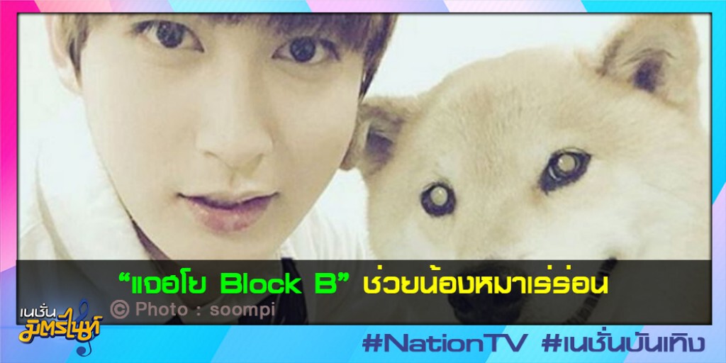 "แจฮโย Block B" ช่วยน้องหมาเร่ร่อน "แจฮโย Block B" ช่วยน้องหมาเร่ร่อน