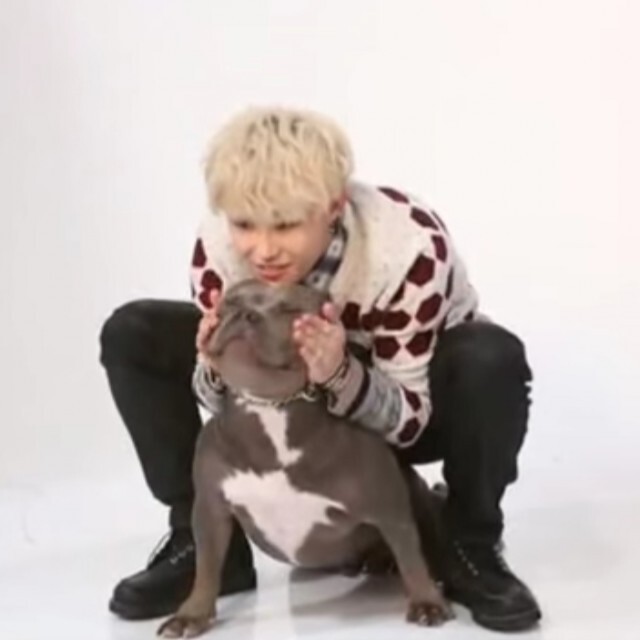 "แจฮโย Block B" ช่วยน้องหมาเร่ร่อน