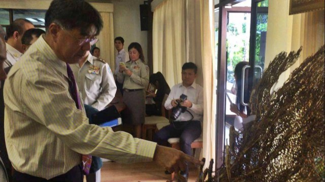 จ่อประกาศคุ้มครองม้าน้ำ 3 สายพันธุ์