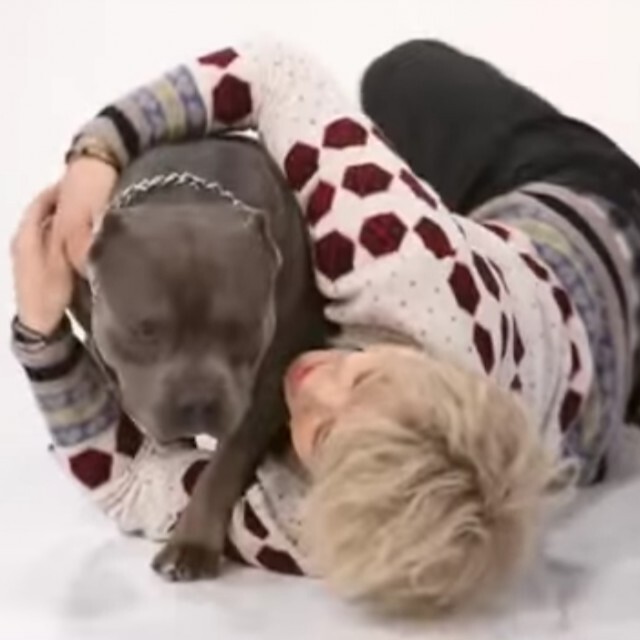 "แจฮโย Block B" ช่วยน้องหมาเร่ร่อน