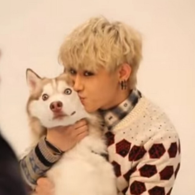 "แจฮโย Block B" ช่วยน้องหมาเร่ร่อน