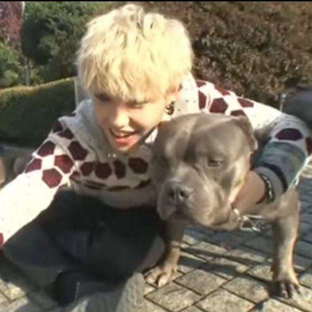 "แจฮโย Block B" ช่วยน้องหมาเร่ร่อน