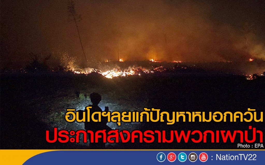 อินโดฯ ประกาศสงครามกับพวกเผาป่า