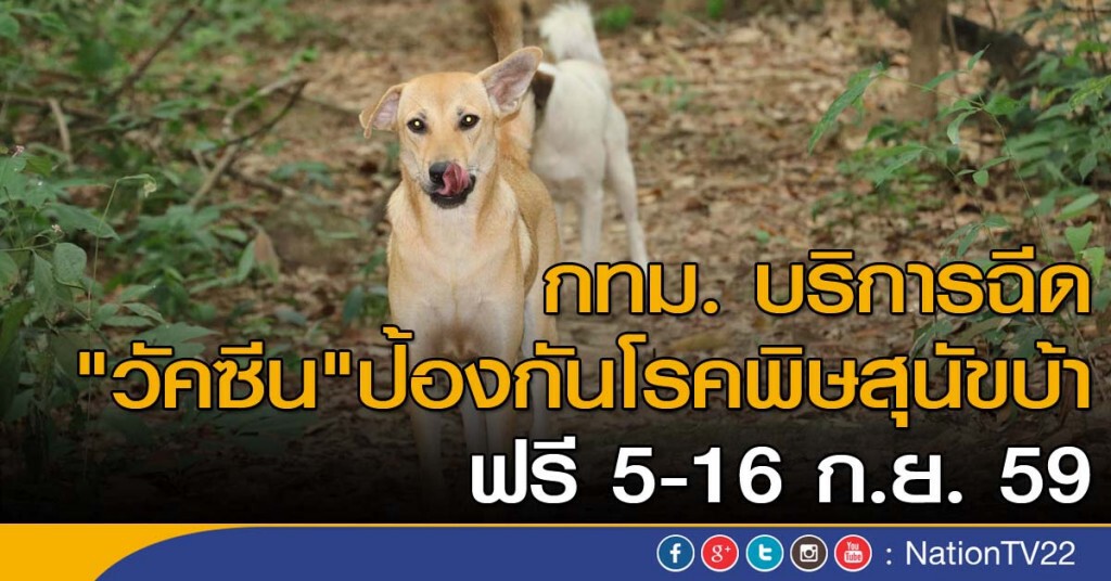 กทม. บริการฉีด "วัคซีน" ป้องกันโรคพิษสุนัขบ้า ฟรี 5-16 ก.ย.นี้