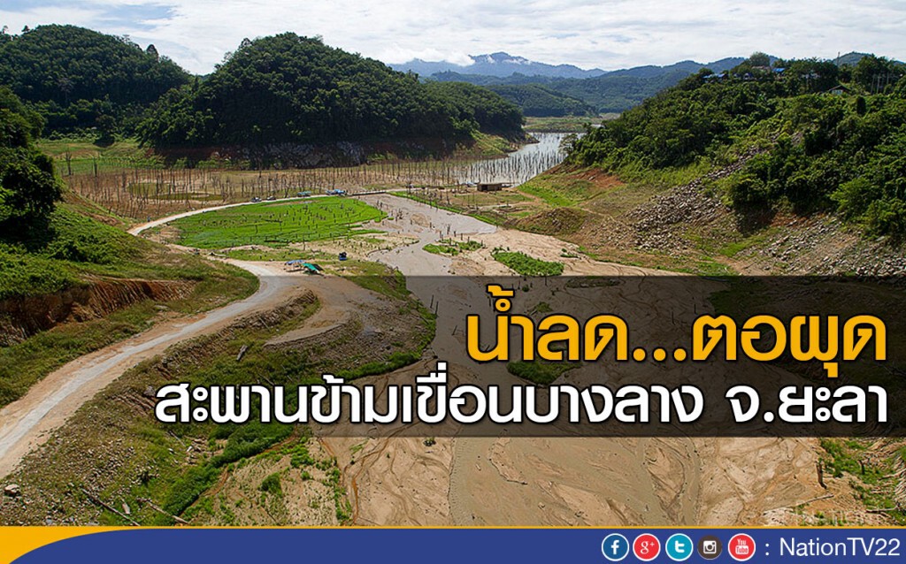 น้ำลด...ตอผุด สะพานข้ามเขื่อนบางลาง จ.ยะลา น้ำลด...ตอผุด สะพานข้ามเขื่อนบางลาง จ.ยะลา
