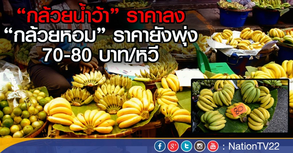 "กล้วยน้ำว้า"ราคาเริ่มลง
กล้วยหอม ราคายังพุ่ง 70-80 บาท/หวี