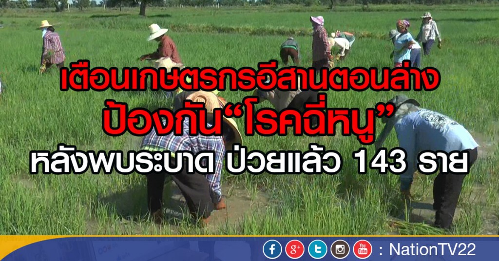 เตือนเกษตรกรอีสานตอนล่าง ป้องกันโรคฉี่หนู
หลังพบระบาด ป่วยแล้ว 143 ราย เตือนเกษตรกรอีสานตอนล่าง ป้องกันโรคฉี่หนู
หลังพบระบาด ป่วยแล้ว 143 ราย