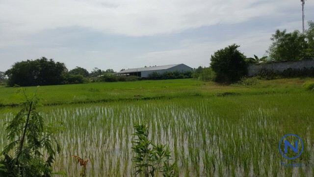 ชาวบ้านสุดทนกลิ่น!
ร้องย้ายโกดังเก็บ"ปุ๋ยขี้ไก่" 5 ปี
ไร้หน่วยงานรัฐเหลียวแล
