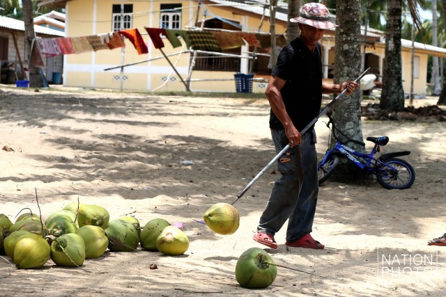"คน กับ ลิง" ชีวิตผูกพันชายแดนใต้