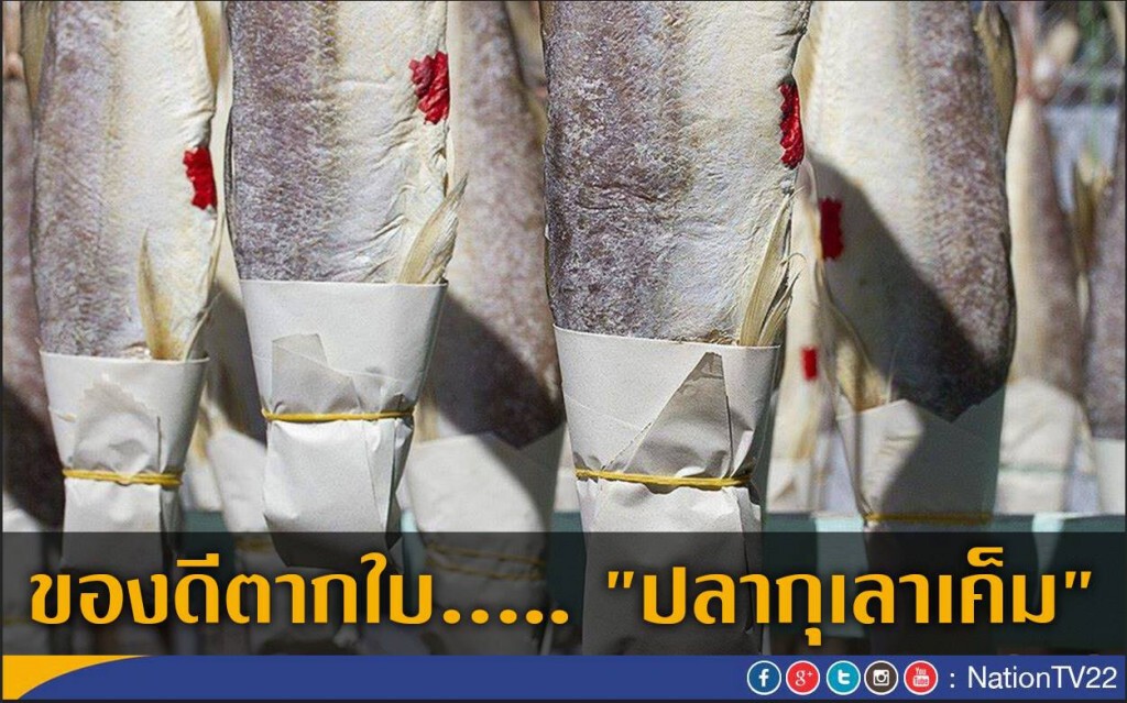 ของดีตากใบ..... "ปลากุเลาเค็ม" ของดีตากใบ..... "ปลากุเลาเค็ม"