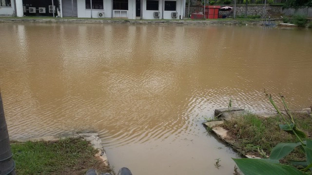 "ม.เกษตร" จ่อตั้งกก.สอบเหตุ "น้องบอส"
ยืนยันไม่ใช่"รับน้องโหด"