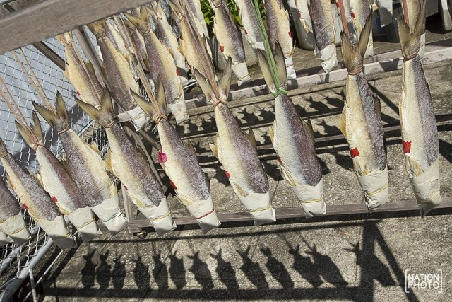 ของดีตากใบ..... "ปลากุเลาเค็ม"