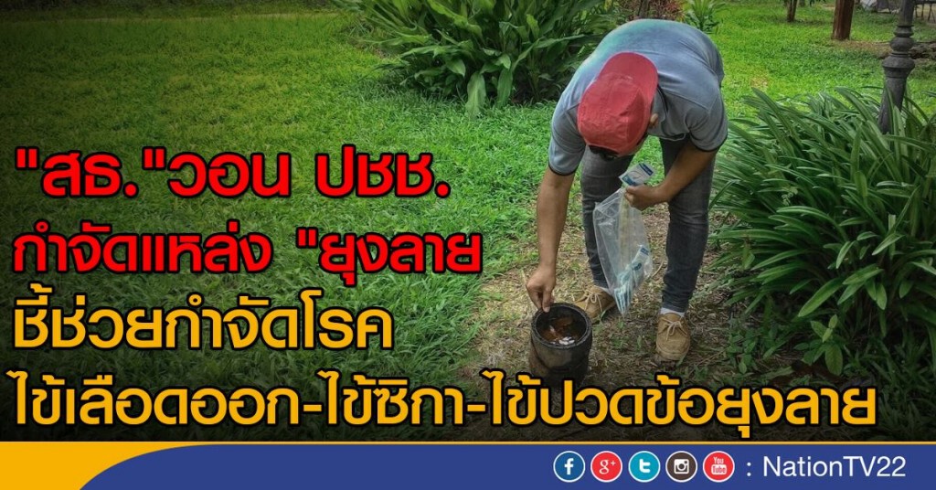 "สธ."ขอความร่วมมือกำจัดแหล่ง "ยุงลาย" "สธ."ขอความร่วมมือกำจัดแหล่ง "ยุงลาย"