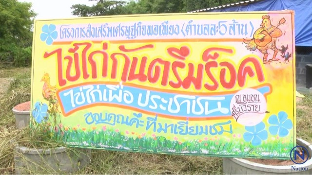 ฟังกันตรึมแล้วเคลิ้ม
แม่ไก่อารมณ์ดี ออกไข่ดก!