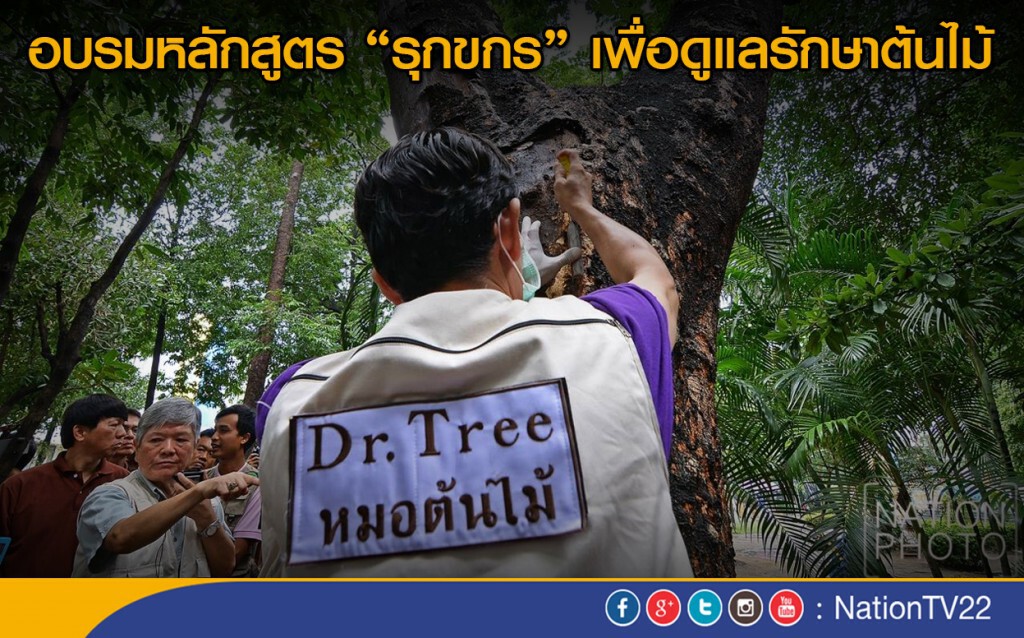 อบรมหลักสูตร "รุกขกร" เพื่อดูแลรักษาต้นไม้ อบรมหลักสูตร "รุกขกร" เพื่อดูแลรักษาต้นไม้