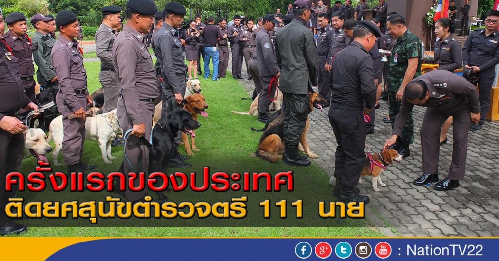 ครั้งแรกของประเทศ
ติดยศสุนัขตำรวจตรี 111 นาย ครั้งแรกของประเทศ
ติดยศสุนัขตำรวจตรี 111 นาย