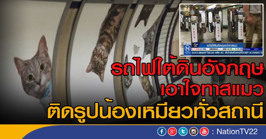 รถไฟใต้ดินอังกฤษเอาใจทาสแมว รถไฟใต้ดินอังกฤษเอาใจทาสแมว