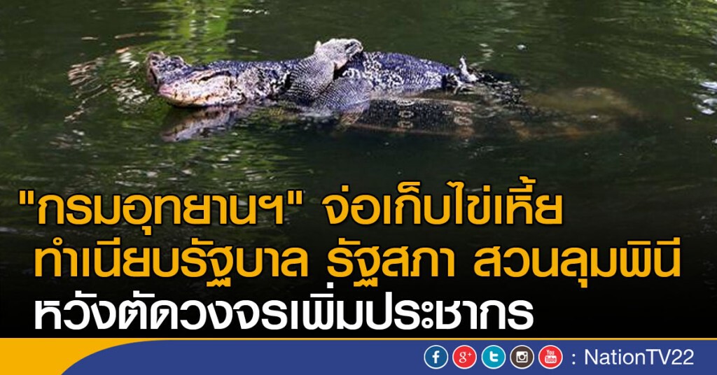 "กรมอุทยานฯ" จ่อเก็บไข่เหี้ย
ทำเนียบรัฐบาล รัฐสภา สวนลุมพินี หวังตัดวงจรเพิ่มประชากร