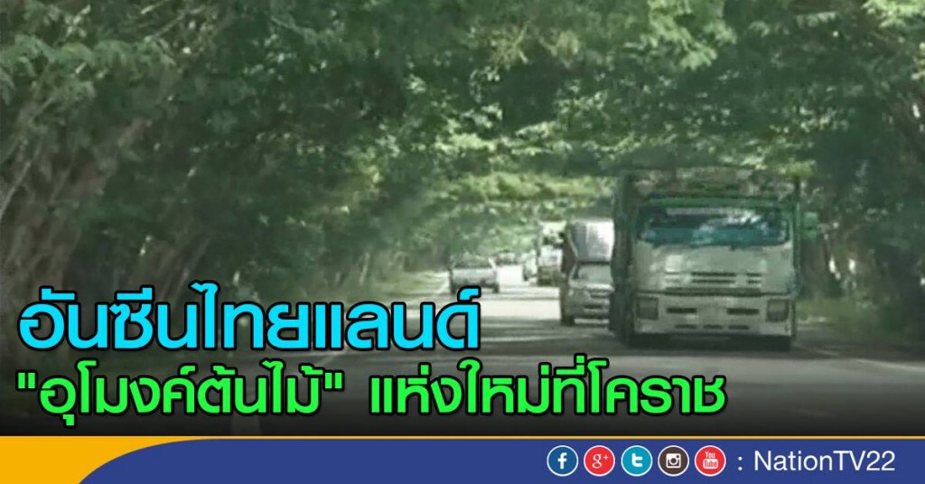 พบอันซีนอุโมงค์ต้นไม้แห่งใหม่ พบอันซีนอุโมงค์ต้นไม้แห่งใหม่