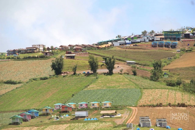 แผนภูทับเบิก ให้ม้งเลิกปลูกกะหล่ำปลี เป็นผักไฮโดรโปนิกส์