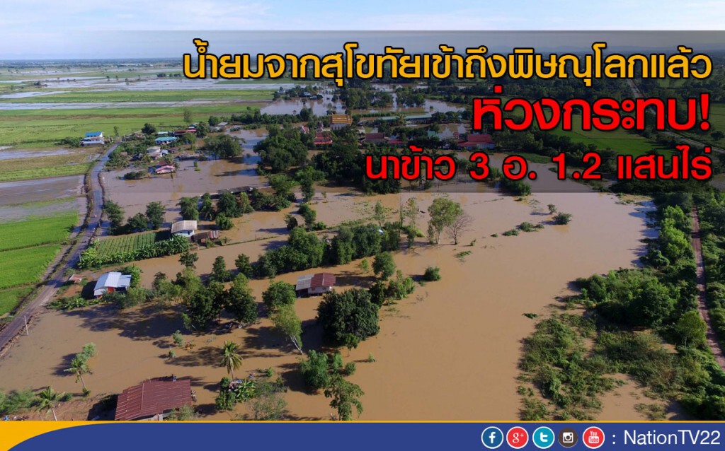 น้ำยมจากสุโขทัยเข้าถึงพิษณุโลกแล้ว ห่วงนาข้าว 3 อำเภอ 1.2 แสนไร่กระทบ
