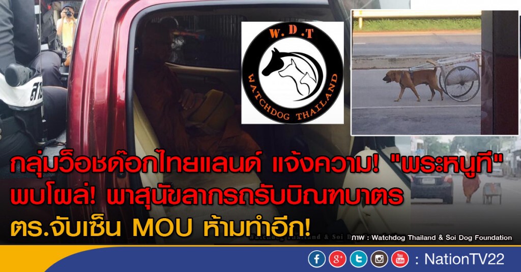 กลุ่มว็อชด๊อกไทยแลนด์ แจ้งความ! "พระหนูที" พบโผล่! พาสุนัขลากรถรับบิณฑบาตร