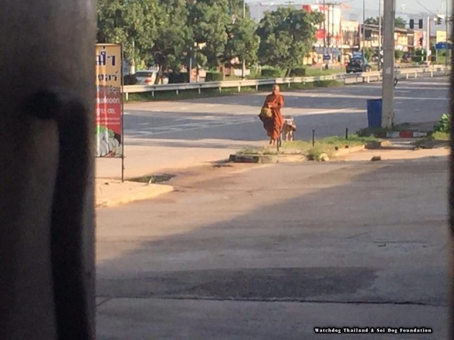 กลุ่มว็อชด๊อกไทยแลนด์ แจ้งความ! "พระหนูที" พบโผล่! พาสุนัขลากรถรับบิณฑบาตร