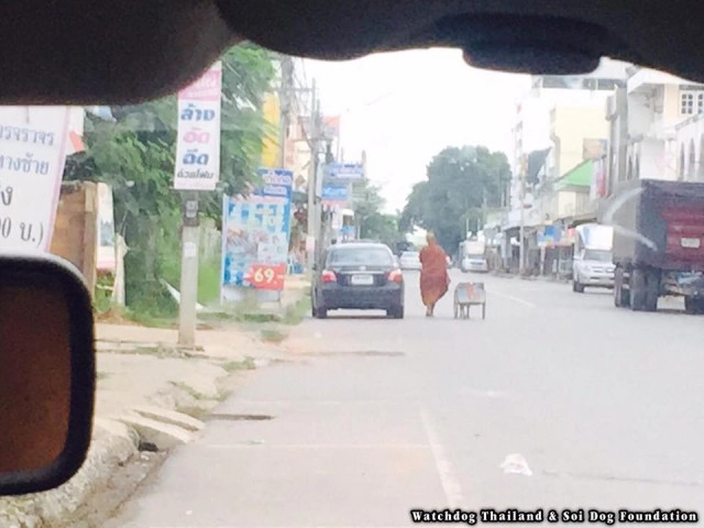 กลุ่มว็อชด๊อกไทยแลนด์ แจ้งความ! "พระหนูที" พบโผล่! พาสุนัขลากรถรับบิณฑบาตร