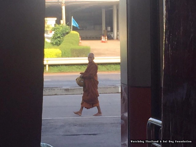 กลุ่มว็อชด๊อกไทยแลนด์ แจ้งความ! "พระหนูที" พบโผล่! พาสุนัขลากรถรับบิณฑบาตร