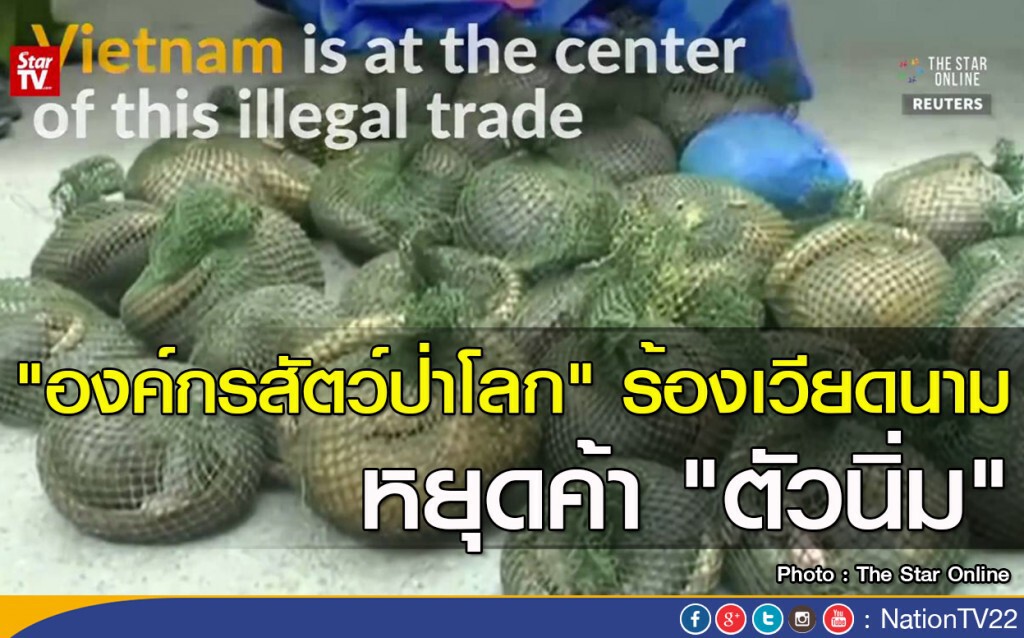 "องค์กรสัตว์ป่าโลก" ร้องเวียดนาม หยุดค้า "ตัวนิ่ม" "องค์กรสัตว์ป่าโลก" ร้องเวียดนาม หยุดค้า "ตัวนิ่ม"