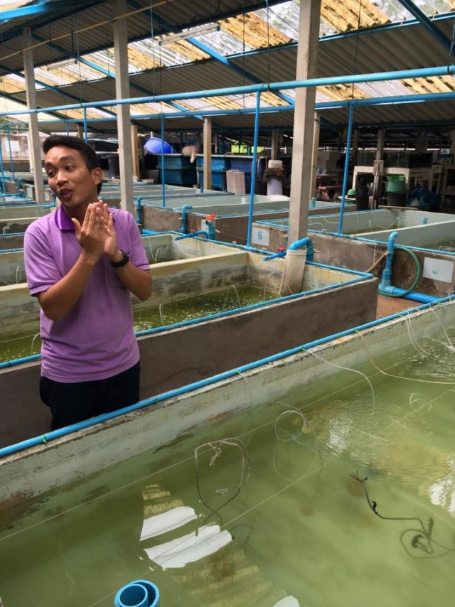 เปิดสถานีวิจัยม้าน้ำครั้งแรกของโลก