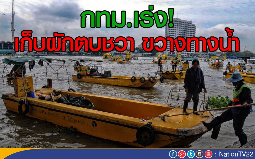 กทม.เร่งเก็บผักตบชวา ขวางทางน้ำ