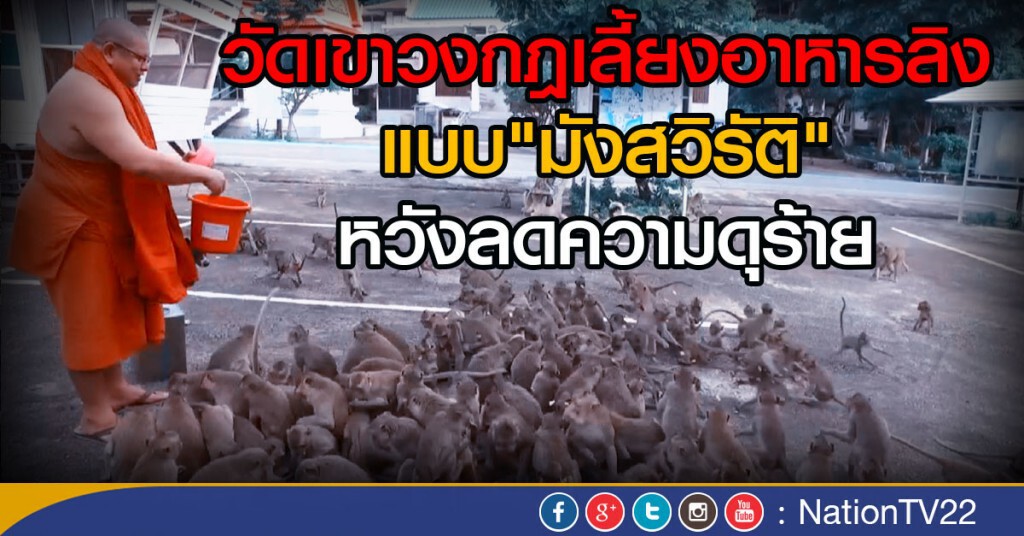 วัดเขาวงกฎ
เลี้ยงอาหารลิงแบบ"มังสวิรัติ"
หวังลดความดุร้าย วัดเขาวงกฎ
เลี้ยงอาหารลิงแบบ"มังสวิรัติ"
หวังลดความดุร้าย